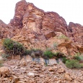 Lawrence spring