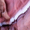 Sandstone colors