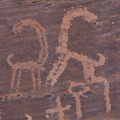 Capra ibex (Bouquetin) petroglyph