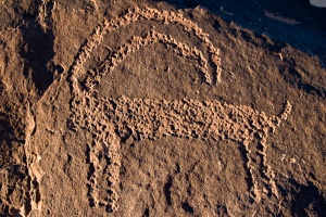 Capra ibex (Bouquetin) petroglyph