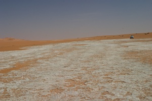 Oryx leucoryx fossil footprints