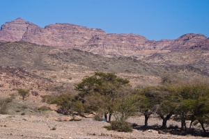 UBM-Taif West road