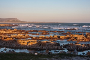 Hermanus beach