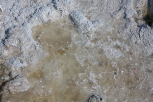 Etosha National Park