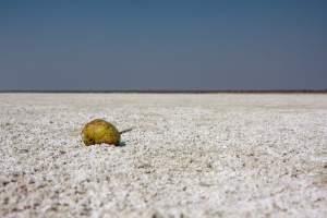 Etosha National Park