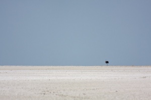 Etosha National Park