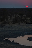 Etosha National Park