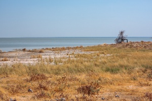 Etosha National Park