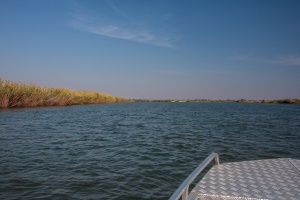 Boat tour on Okavango river