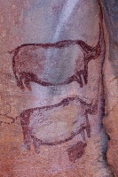 Rock painting in Tsodilo