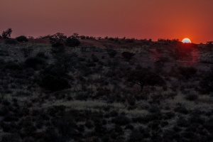 Kgalagadi Transfrontier Park