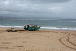 Whale watching at Plettenberg Bay