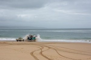 Whale watching at Plettenberg Bay