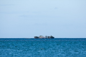 Islet in St-Rose