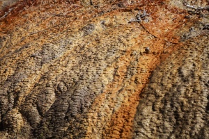 Sulfurous springs between Zong and Vrang