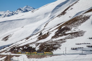 Schynige Platte