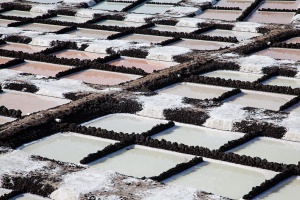 Las Salinas de Fuencaliente