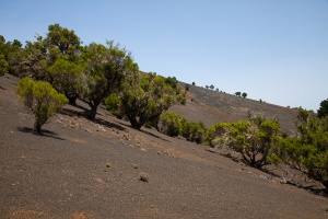 Mirador de la Llana