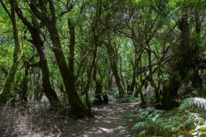 Mirador de la Llana