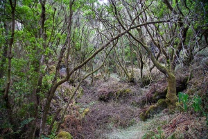 Hoya del Pino