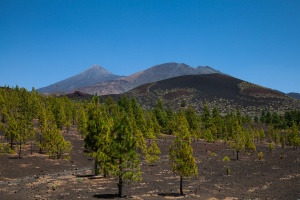 View of Teyde