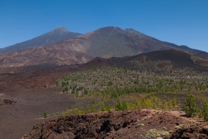 View of Teyde