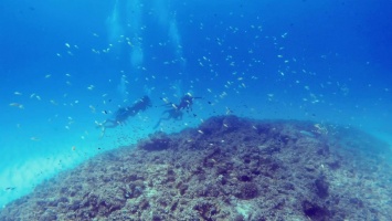 Underwater ambiance