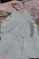 Rock carving