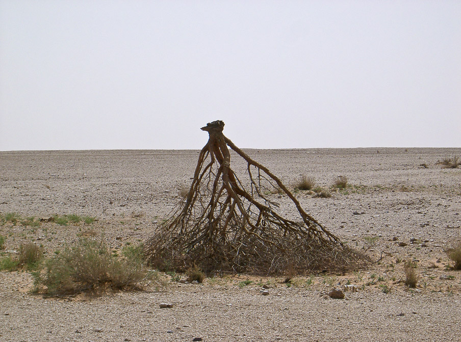 after-the-storm-saudi-arabia.jpg