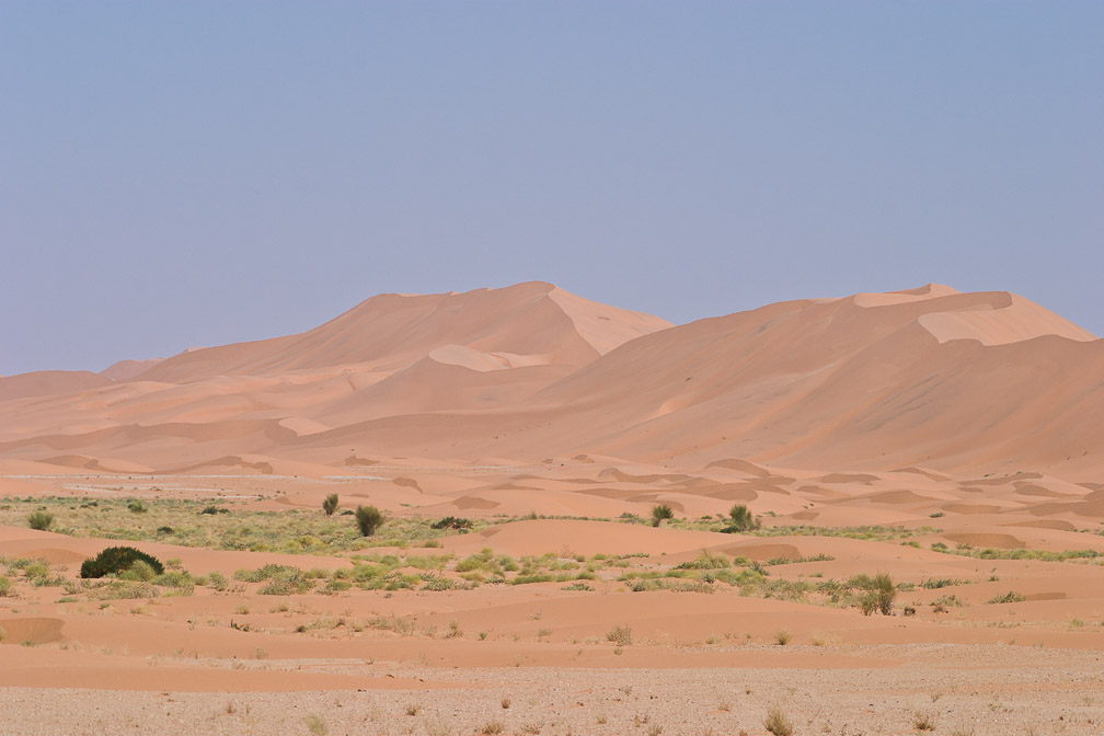 green-patch-saudi-arabia.jpg