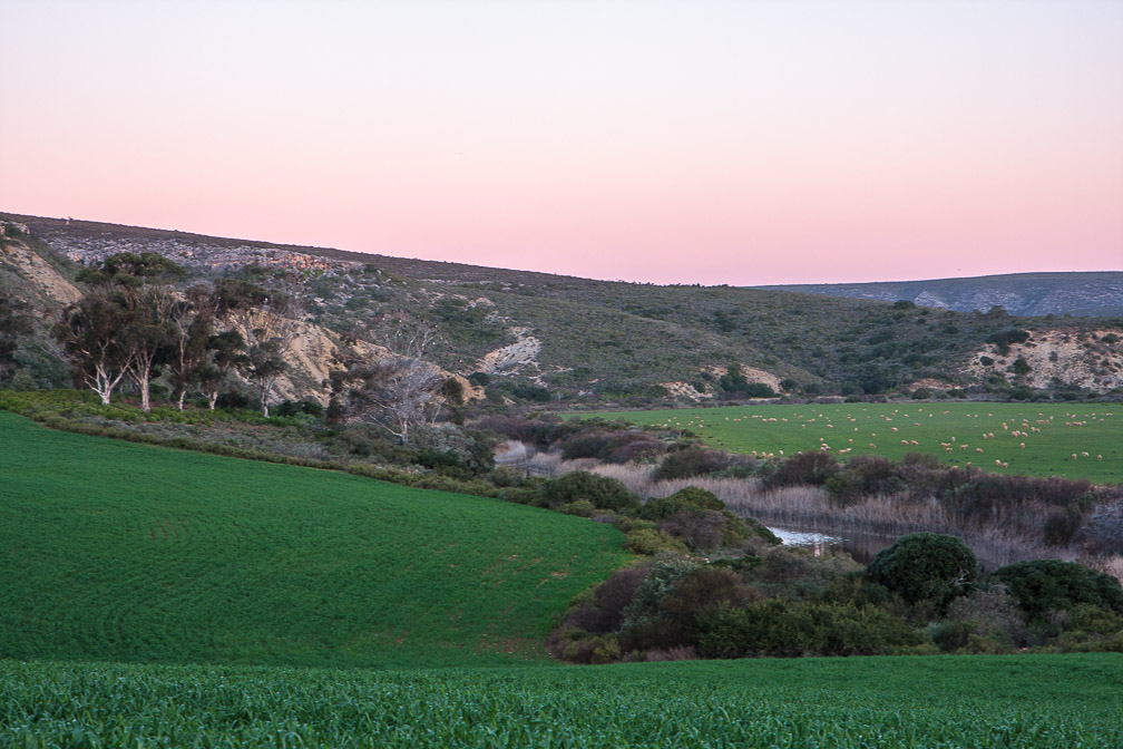 de-hoop-nature-reserve-potberg-south-africa-4.jpg