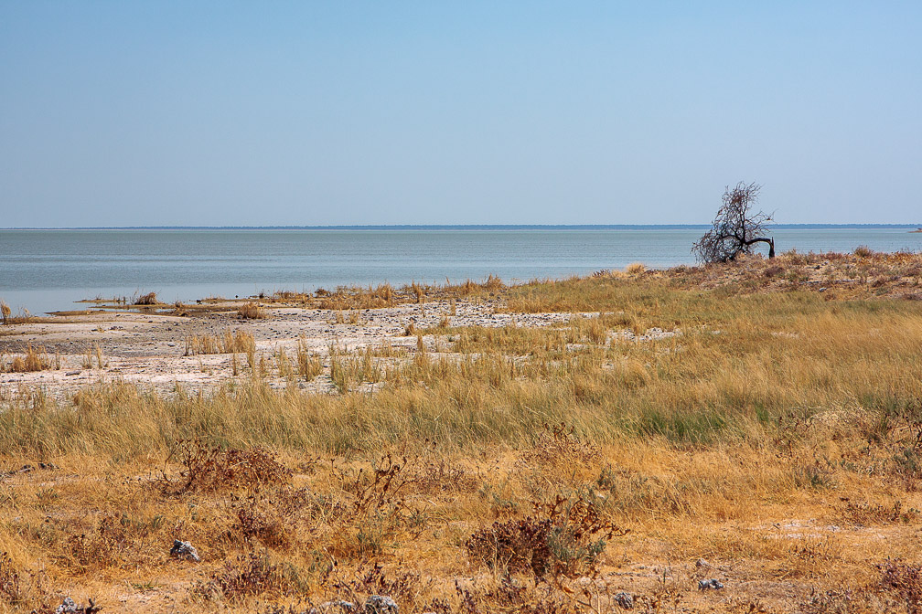 etosha-national-park-namibia-9.jpg