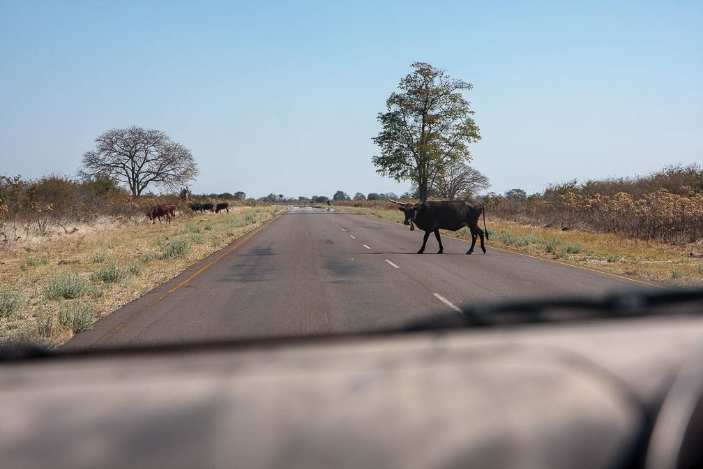 katima-mulilo-to-kongola-namibia.jpg