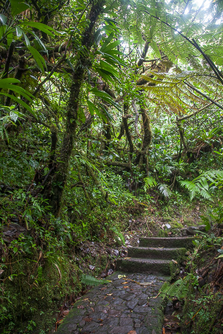 la-soufriere-guadeloupe-18.jpg