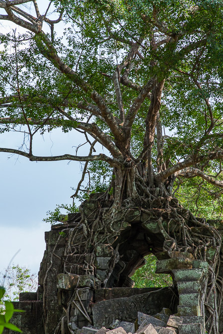 beng-melea-cambodia-28.jpg