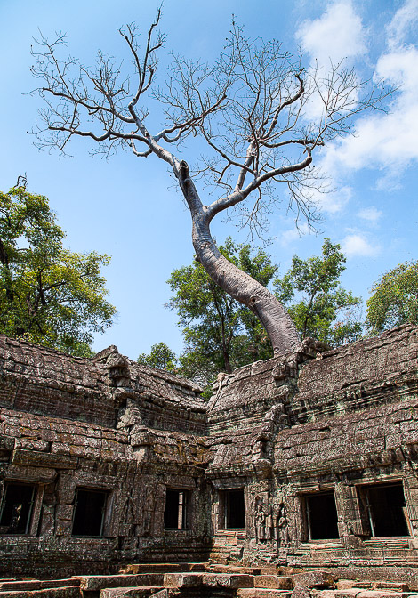 angkor-thom-cambodia-34.jpg