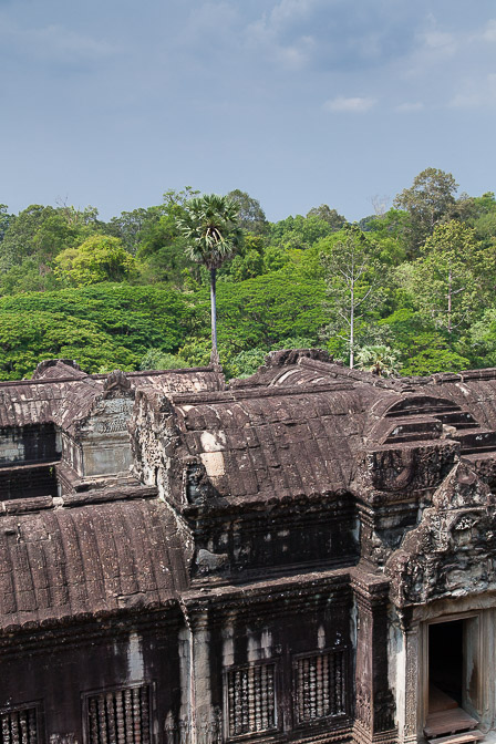 angkor-vat-cambodia-16.jpg