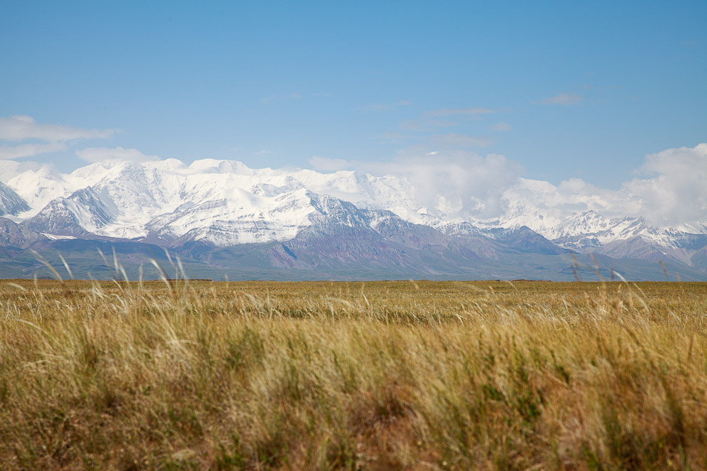 m41-sary-mogul-to-kyzyl-art-pass-kyrgyzstan.jpg