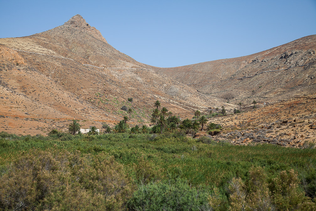 barranco-de-las-penitas-canaries-fuerteventura-2.jpg