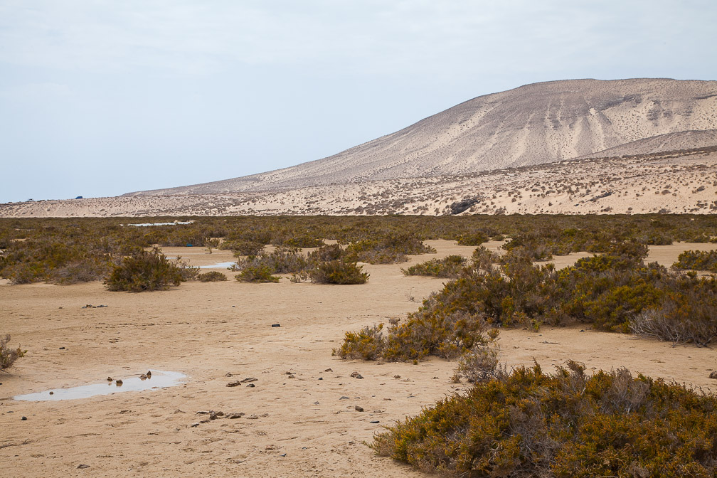 playa-de-sotavento-canaries-fuerteventura.jpg