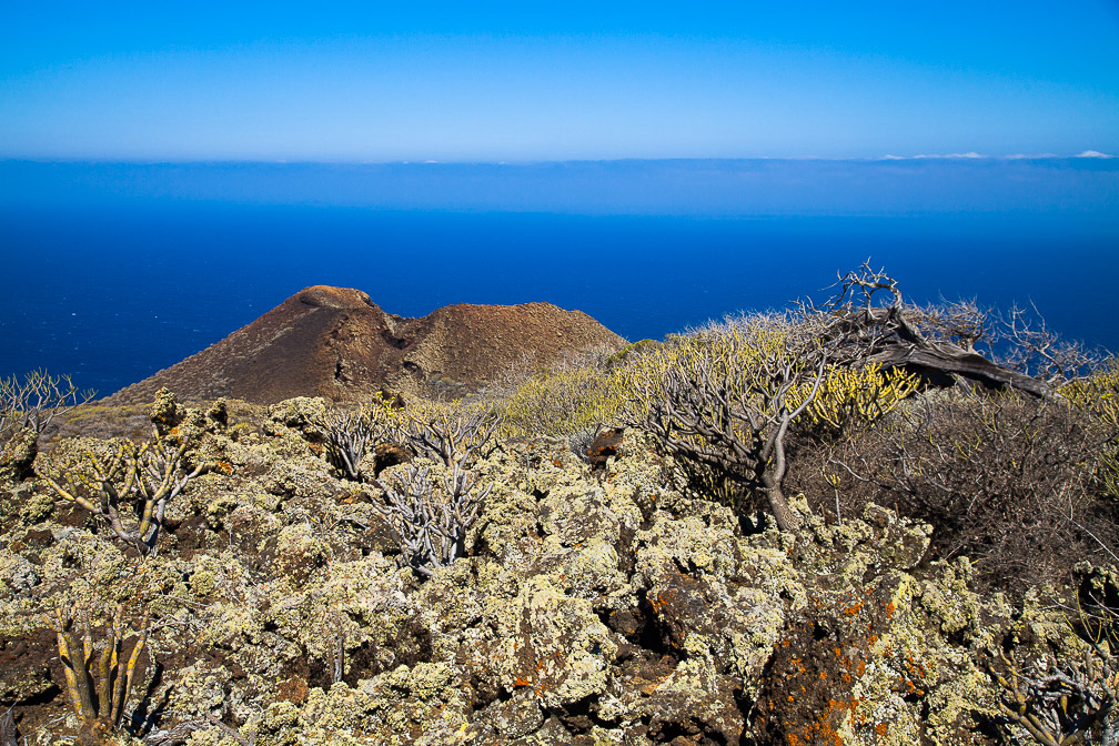 el-sabinar-canaries-el-hierro.jpg