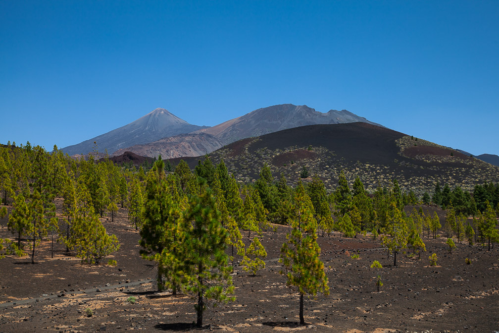 view-of-teyde-canaries-tenerife.jpg