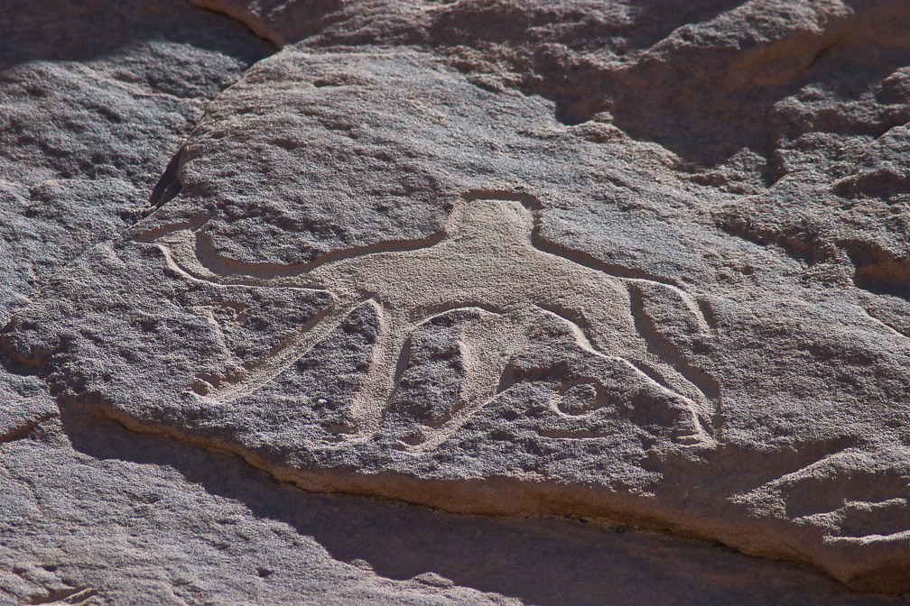 camelus-dromedarius-petroglyph-saudi-arabia.jpg
