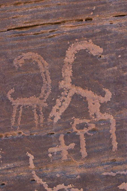 capra-ibex-petroglyph-saudi-arabia.jpg