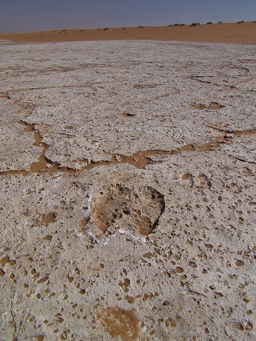 fossil-footprint-saudi-arabia-2.jpg