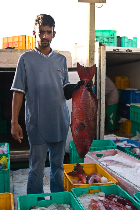 djeddah-fish-market-saudi-arabia.jpg