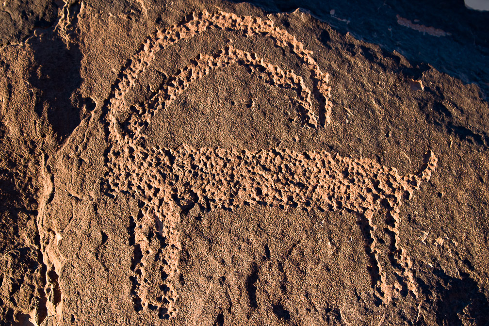 capra-ibex-petroglyph-saudi-arabia-2.jpg
