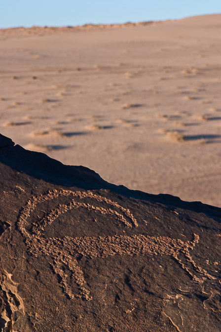 capra-ibex-petroglyph-saudi-arabia-3.jpg