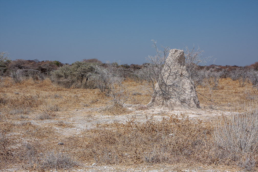 termitière-termitière-namibia.jpg