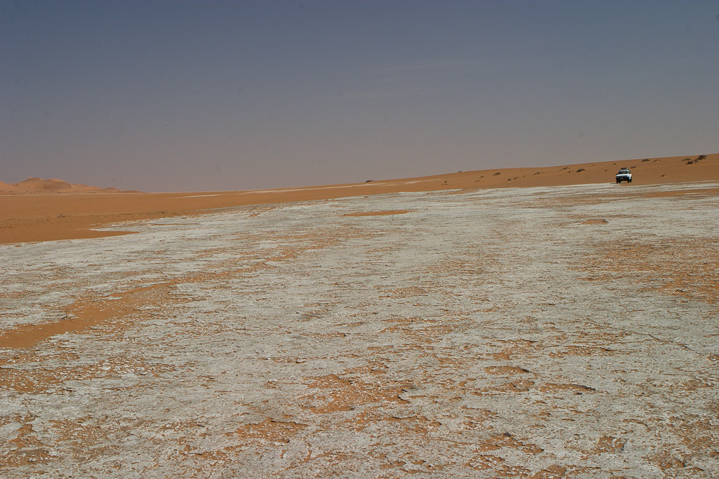 oryx-leucoryx-fossil-footprints-saudi-arabia.jpg